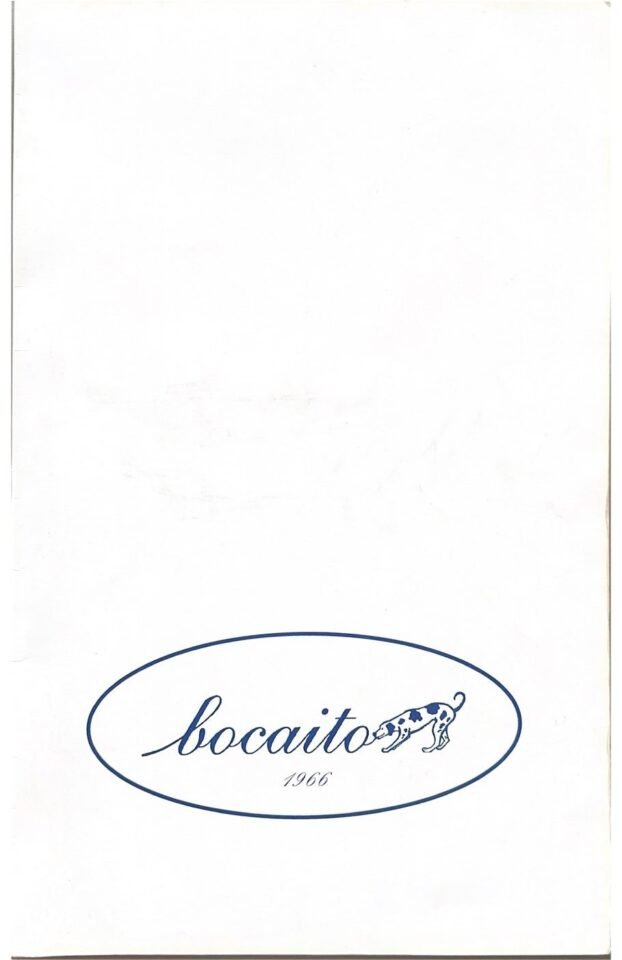 Bocaito